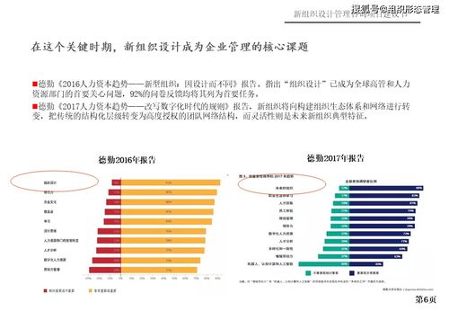 新組織設(shè)計管理與旅游開發(fā)項目策劃咨詢建議書
